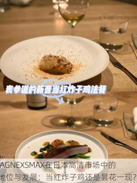 JAGNEXSMAX在日本高清市场中的地位与发展：当红炸子鸡还是昙花一现？