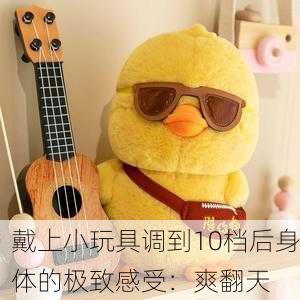 戴上小玩具调到10档后身体的极致感受：爽翻天