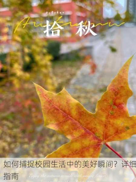 如何捕捉校园生活中的美好瞬间？详细指南