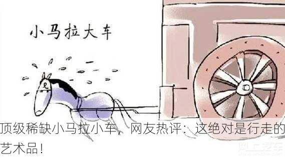 顶级稀缺小马拉小车，网友热评：这绝对是行走的艺术品！
