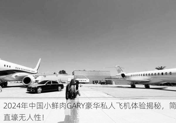 2024年中国小鲜肉GARY豪华私人飞机体验揭秘，简直壕无人性！