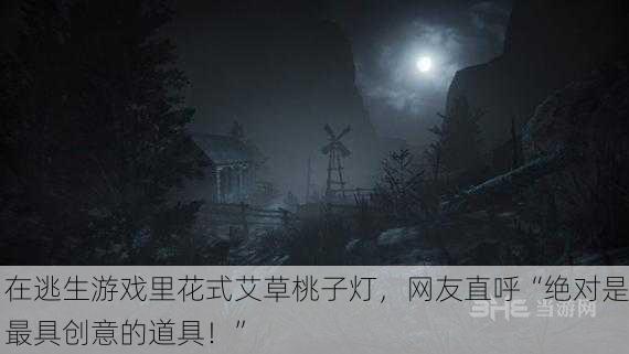 在逃生游戏里花式艾草桃子灯，网友直呼“绝对是最具创意的道具！”