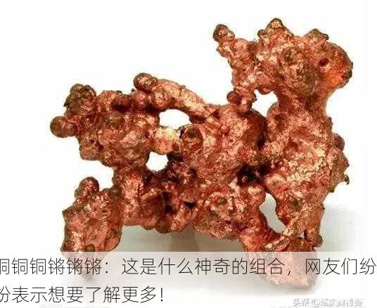 铜铜铜锵锵锵：这是什么神奇的组合，网友们纷纷表示想要了解更多！