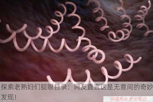 探索老熟妇们腚眼目录：网友直言这是无意间的奇妙发现！