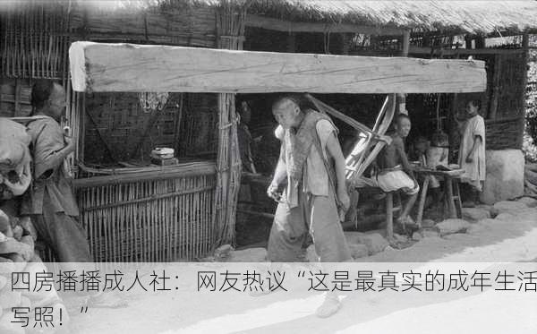 四房播播成人社：网友热议“这是最真实的成年生活写照！”