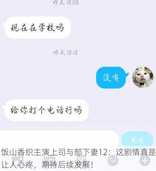 饭山香织主演上司与部下妻12：这剧情真是让人心疼，期待后续发展！