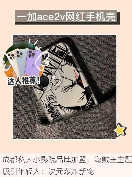 成都私人小影院品牌加盟，海贼王主题吸引年轻人：次元爆炸新宠