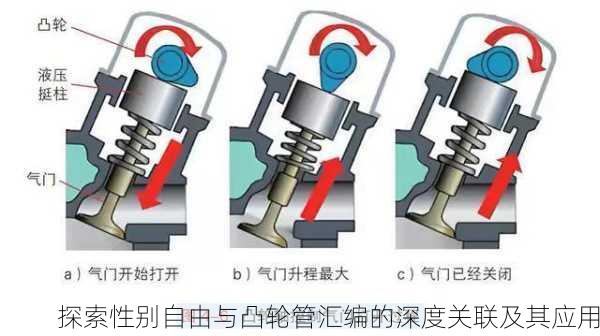 探索性别自由与凸轮管汇编的深度关联及其应用