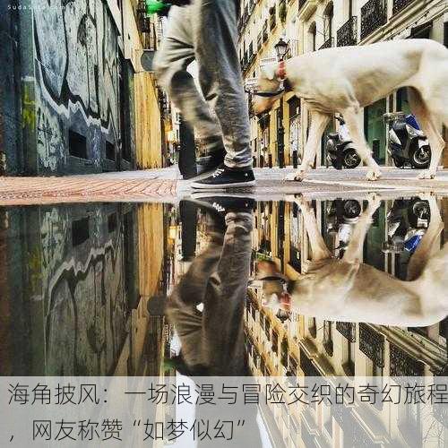 海角披风：一场浪漫与冒险交织的奇幻旅程，网友称赞“如梦似幻”