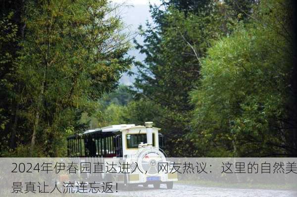 2024年伊春园直达进入，网友热议：这里的自然美景真让人流连忘返！
