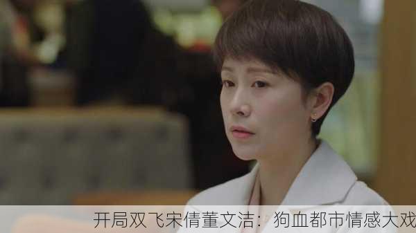 开局双飞宋倩董文洁：狗血都市情感大戏