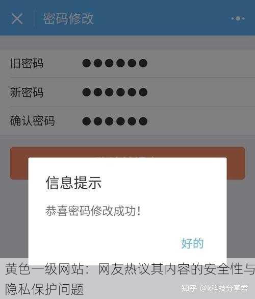 黄色一级网站：网友热议其内容的安全性与隐私保护问题