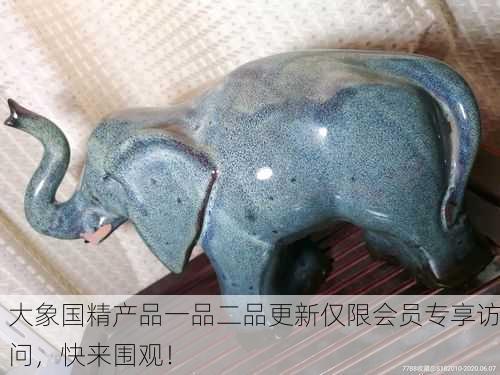 大象国精产品一品二品更新仅限会员专享访问，快来围观！