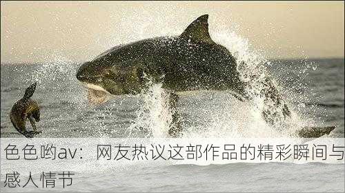 色色哟av：网友热议这部作品的精彩瞬间与感人情节