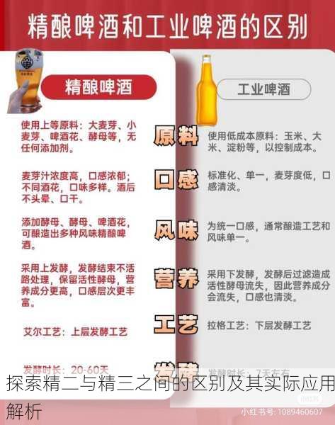 探索精二与精三之间的区别及其实际应用解析