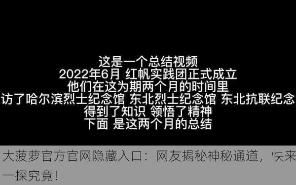 大菠萝官方官网隐藏入口：网友揭秘神秘通道，快来一探究竟！