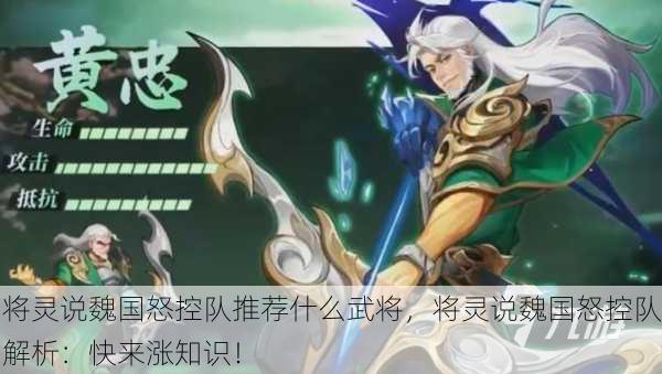 将灵说魏国怒控队推荐什么武将，将灵说魏国怒控队解析：快来涨知识！