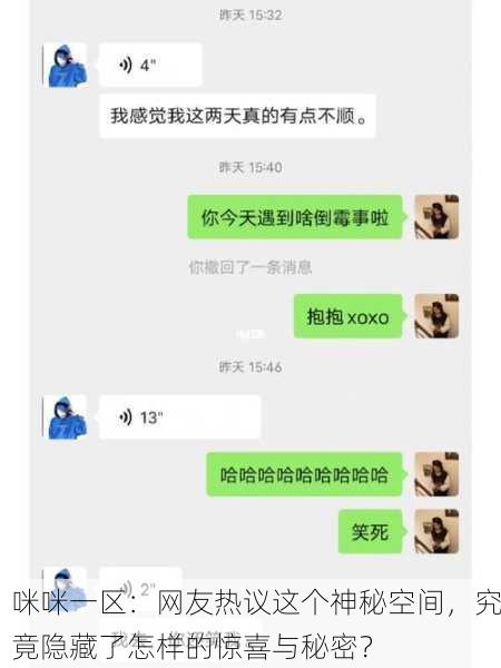 咪咪一区：网友热议这个神秘空间，究竟隐藏了怎样的惊喜与秘密？