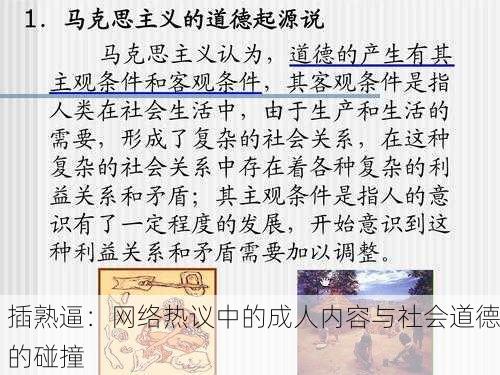 插熟逼：网络热议中的成人内容与社会道德的碰撞