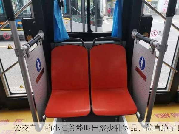 公交车上的小扫货能叫出多少种物品，简直绝了！