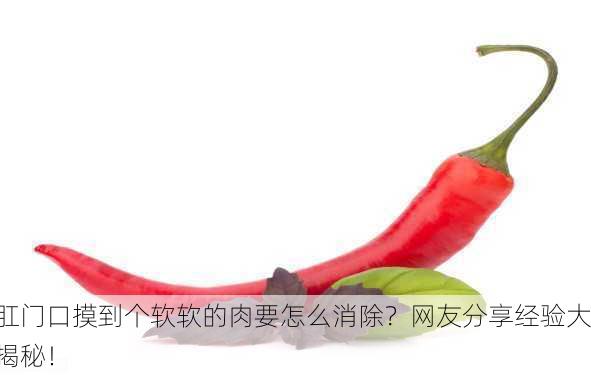 肛门口摸到个软软的肉要怎么消除？网友分享经验大揭秘！