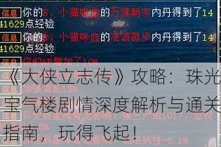 《大侠立志传》攻略：珠光宝气楼剧情深度解析与通关指南，玩得飞起！