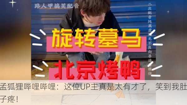 孟狐狸哔哩哔哩：这位UP主真是太有才了，笑到我肚子疼！