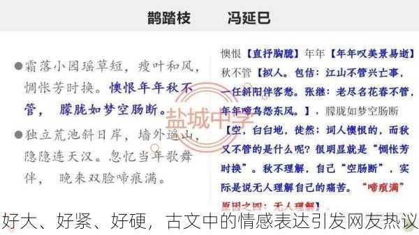 好大、好紧、好硬，古文中的情感表达引发网友热议
