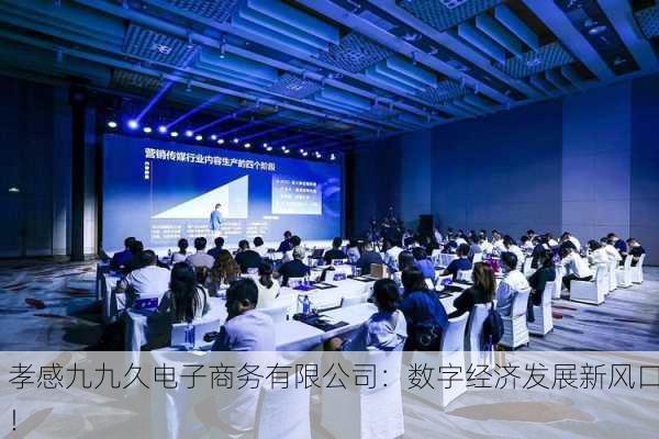 孝感九九久电子商务有限公司：数字经济发展新风口！