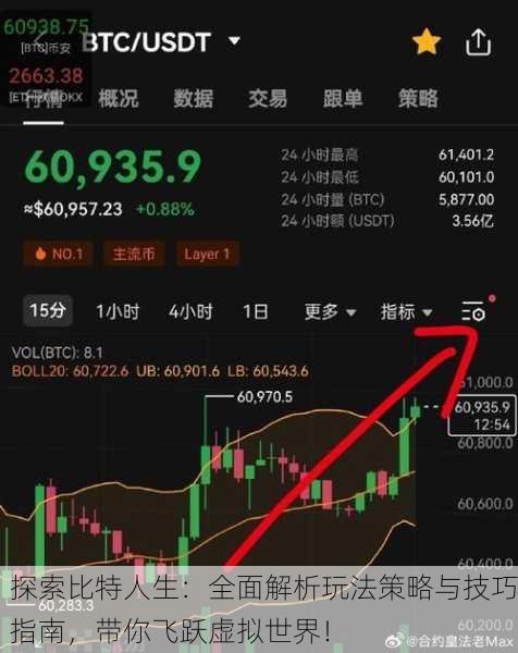 探索比特人生：全面解析玩法策略与技巧指南，带你飞跃虚拟世界！