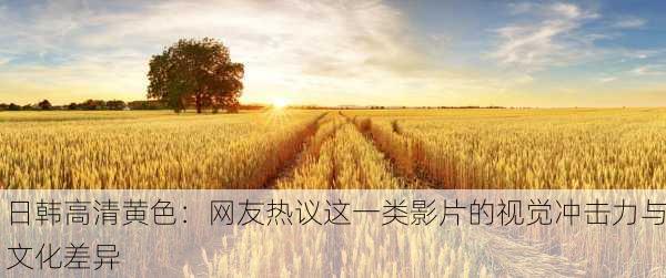 日韩高清黄色：网友热议这一类影片的视觉冲击力与文化差异