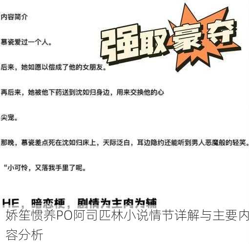 娇笙惯养PO阿司匹林小说情节详解与主要内容分析