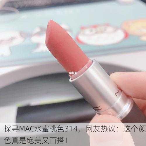 探寻MAC水蜜桃色314，网友热议：这个颜色真是绝美又百搭！