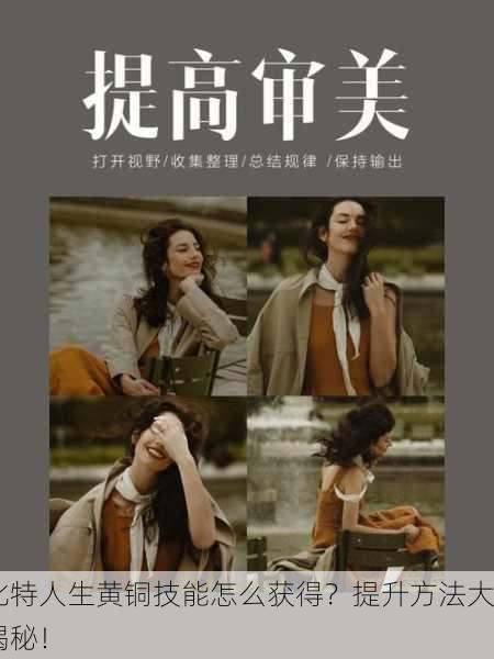 比特人生黄铜技能怎么获得？提升方法大揭秘！