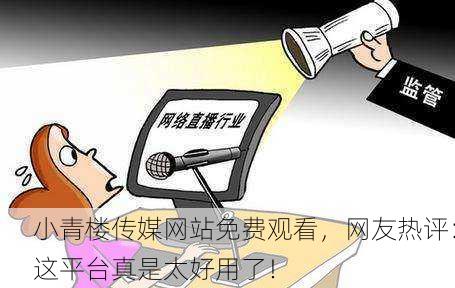小青楼传媒网站免费观看，网友热评：这平台真是太好用了！