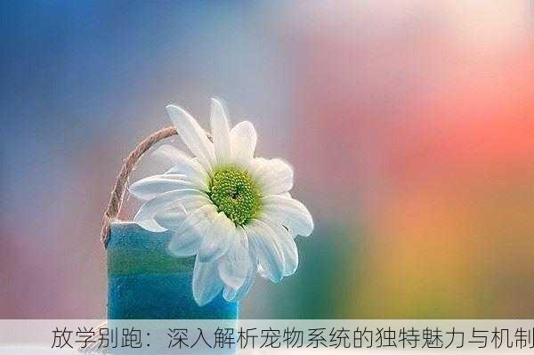 放学别跑：深入解析宠物系统的独特魅力与机制