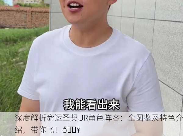 深度解析命运圣契UR角色阵容：全图鉴及特色介绍，带你飞！🔥