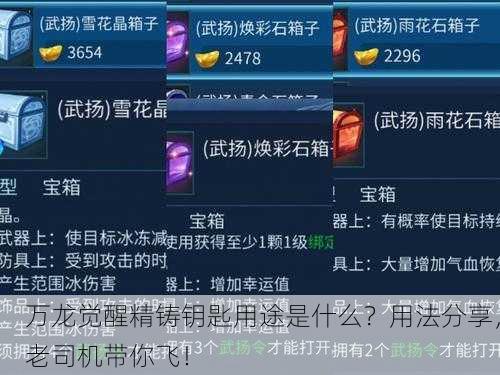 万龙觉醒精铸钥匙用途是什么？用法分享，老司机带你飞！
