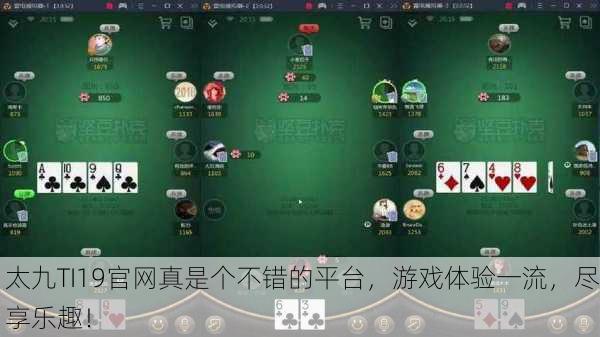 太九TI19官网真是个不错的平台，游戏体验一流，尽享乐趣！