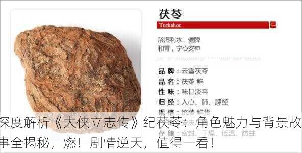 深度解析《大侠立志传》纪茯苓：角色魅力与背景故事全揭秘，燃！剧情逆天，值得一看！