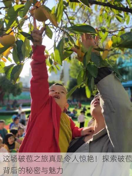 这场破苞之旅真是令人惊艳！探索破苞背后的秘密与魅力