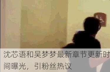 沈芯语和吴梦梦最新章节更新时间曝光，引粉丝热议