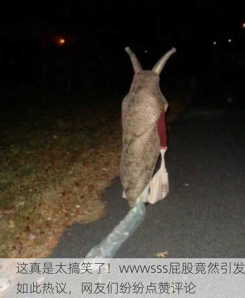 这真是太搞笑了！wwwsss屁股竟然引发如此热议，网友们纷纷点赞评论
