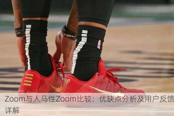 Zoom与人马性Zoom比较：优缺点分析及用户反馈详解