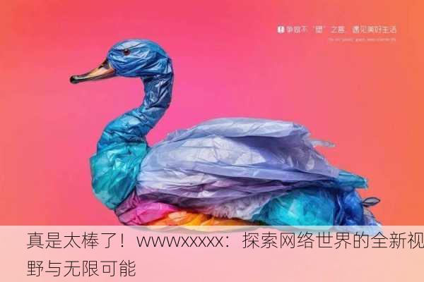 真是太棒了！wwwxxxxx：探索网络世界的全新视野与无限可能