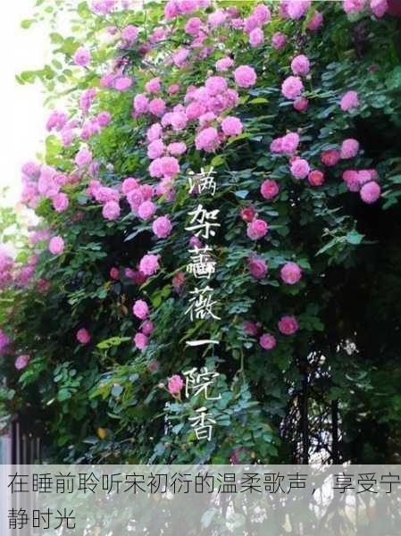 在睡前聆听宋初衍的温柔歌声，享受宁静时光