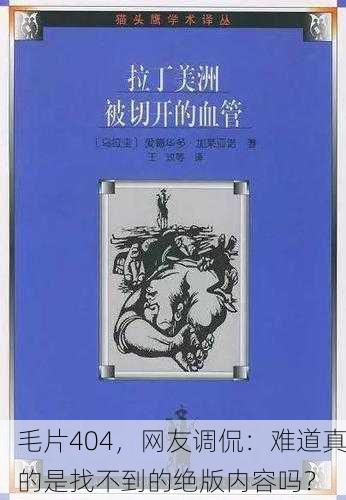 毛片404，网友调侃：难道真的是找不到的绝版内容吗？