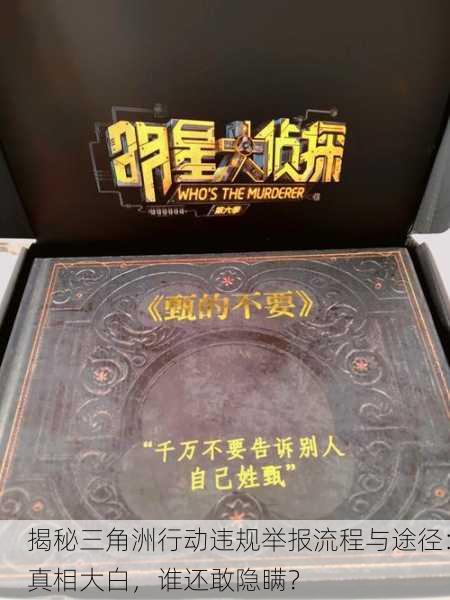 揭秘三角洲行动违规举报流程与途径：真相大白，谁还敢隐瞒？