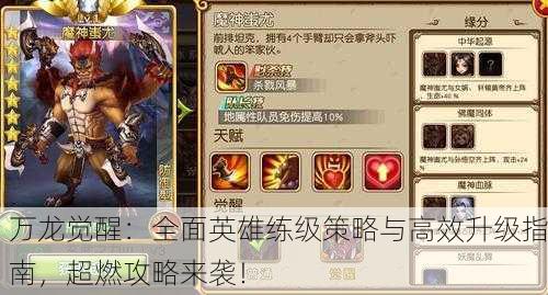 万龙觉醒：全面英雄练级策略与高效升级指南，超燃攻略来袭！