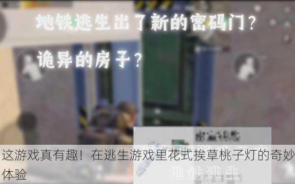 这游戏真有趣！在逃生游戏里花式挨草桃子灯的奇妙体验
